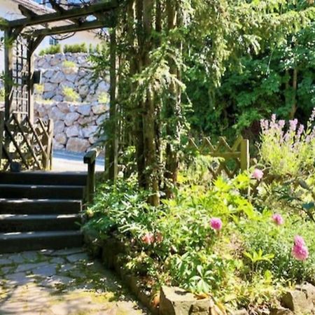 Waldseele Appartement Battenberg  Kültér fotó