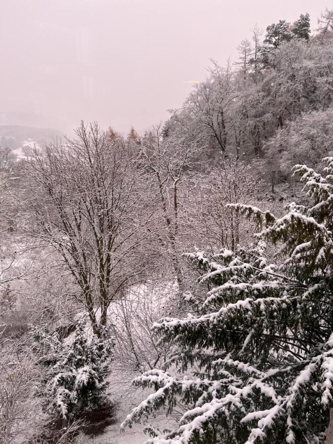 Waldseele Appartement Battenberg  Kültér fotó